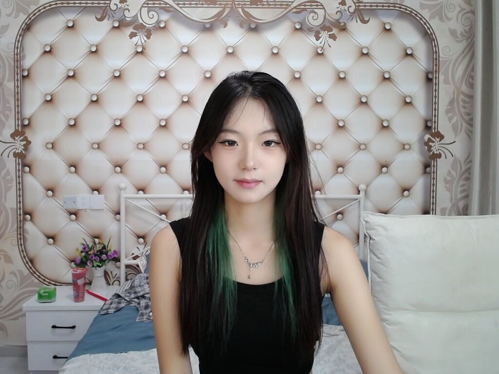 LinYUyu Webcam Vidéo